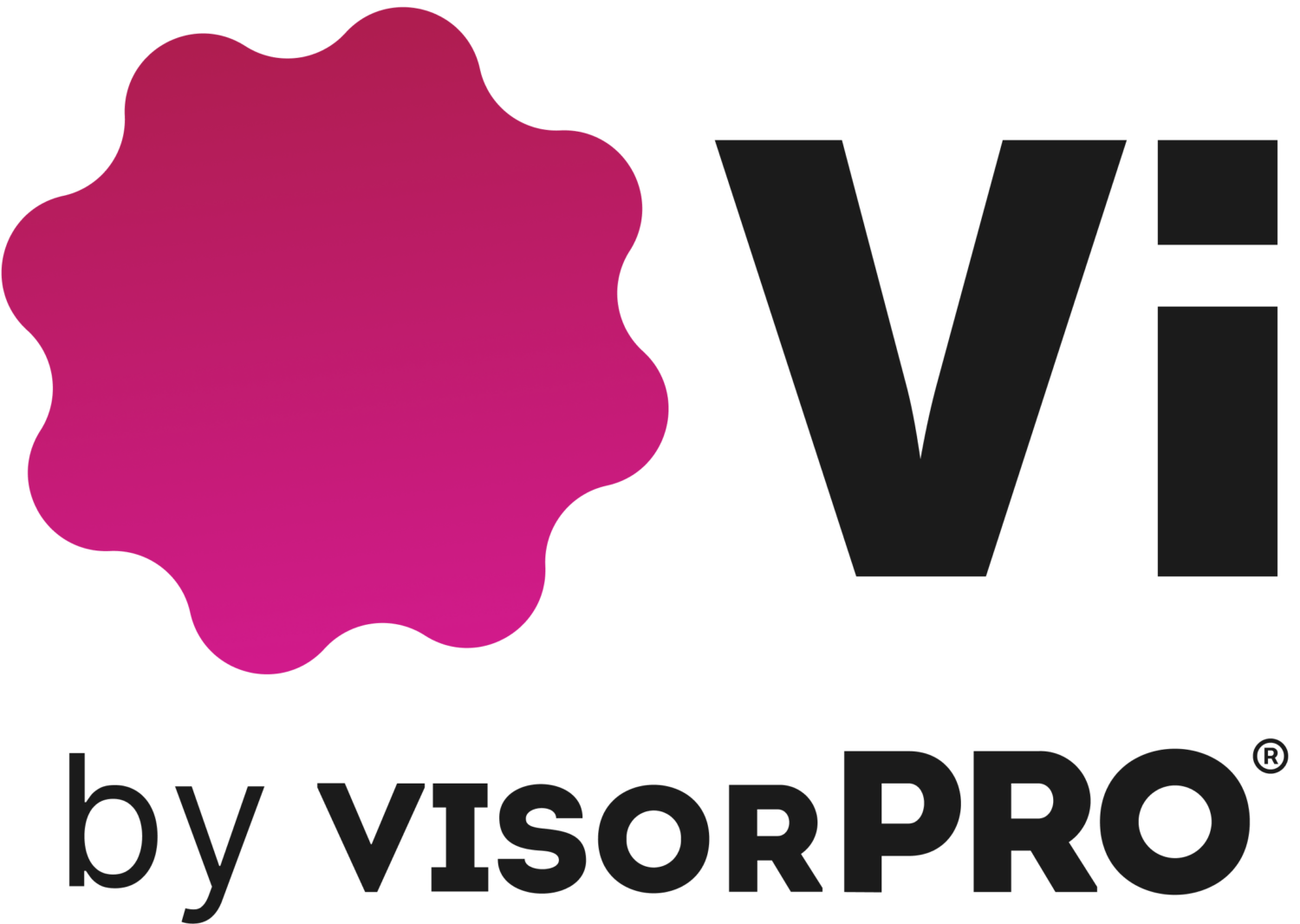 Vi by visorPRO logo
